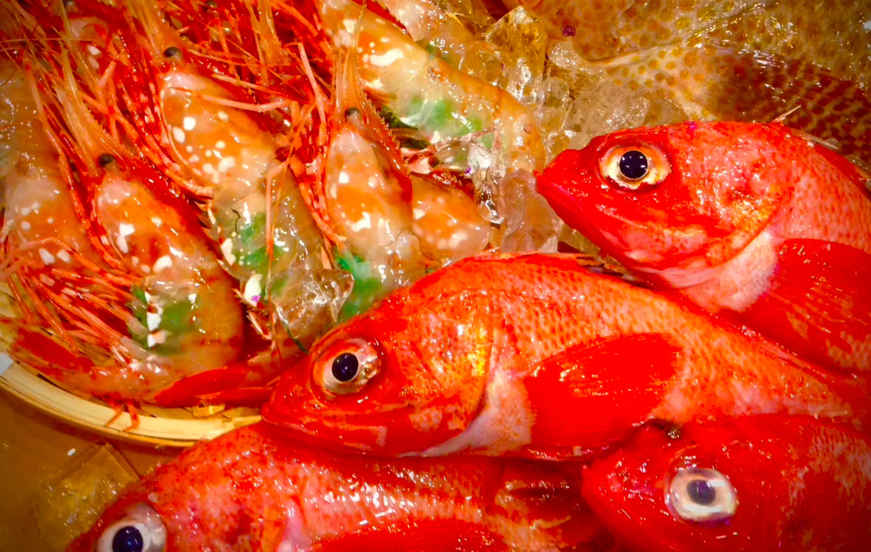 魚菜亭 メイン画像2